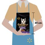 Alimento-Seco-Ganador-Premium-Para-Perro-Cachorro-Razas-Medianas-Y-Grandes-4kg-2-37471