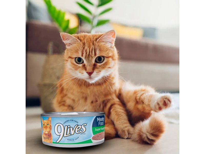 Alimento-Para-Gato-9Lives-Lata-Super-156gr-6-50996