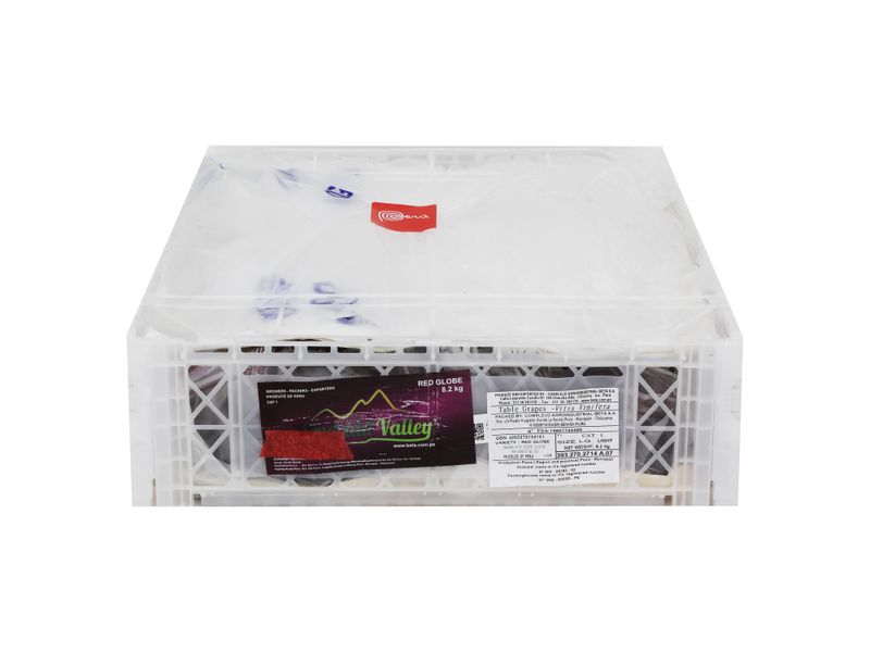 Uva-Red-Globe-Caja-18-Libra-2-47694