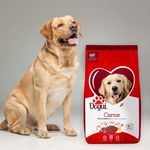 Alimento-Dogui-Perro-Adulto-Sabor-Carne-Y-Arroz-18-Meses-En-Adelante-4kg-8-13723