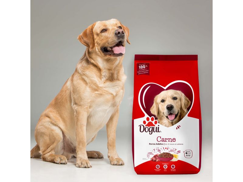 Alimento-Dogui-Perro-Adulto-Sabor-Carne-Y-Arroz-18-Meses-En-Adelante-4kg-8-13723