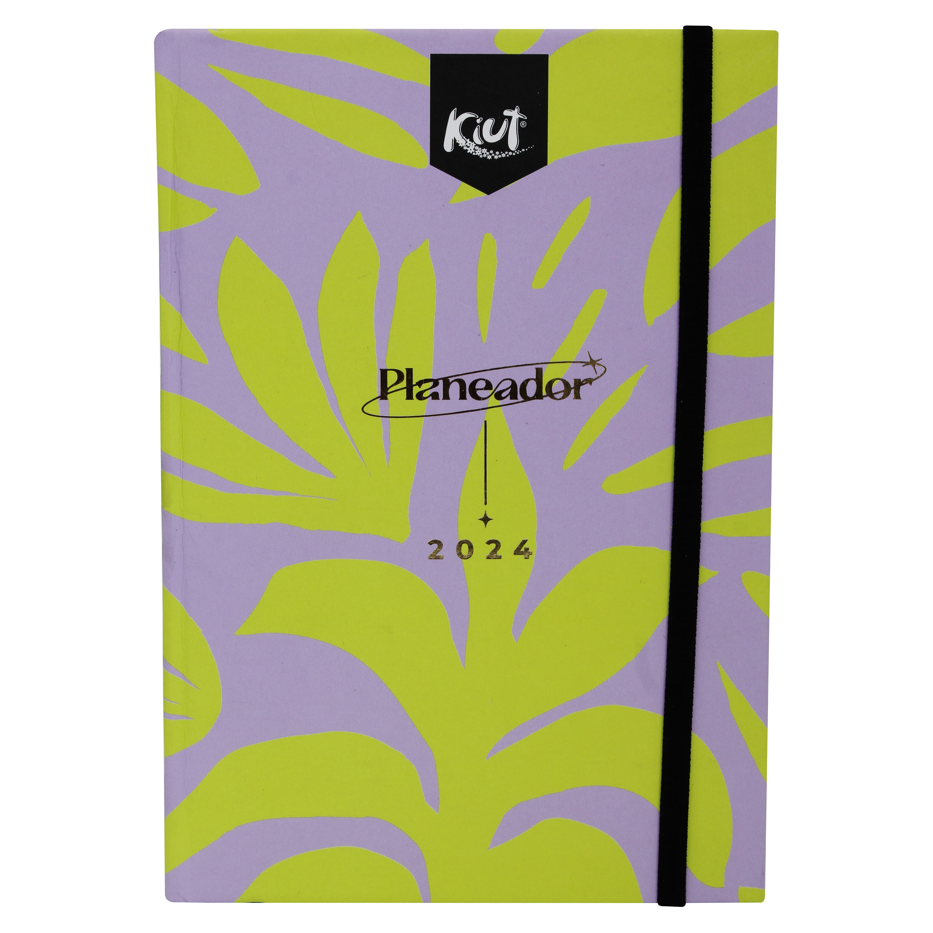 Kiut-Planeador-Empastado-2024-1-64214
