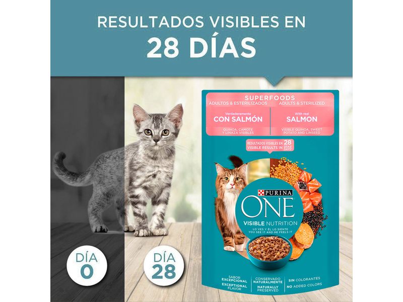 Alimento-H-medo-Gato-Adulto-Purina-One-S-per-Food-85gr-7-51399