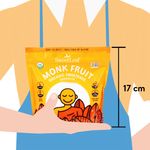 Endulzante-Sweetleaf-Bolsa-Monkfruit-800gr-4-52367
