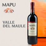 Vino-Mapu-Cabernet-Sauvignon-750ml-4-63935