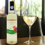 Vino-Blanco-7-Colores-Cortejo-Sauvignon-750ml-4-60925