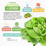 Lechuga-Americana-Picada-Marketside-4-52729