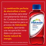 Hidravida-Suero-Oral-Jamaica-625ml-6-66086