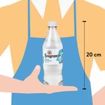 Gaseosa-Seagrams-Regular-600ml-4-27604