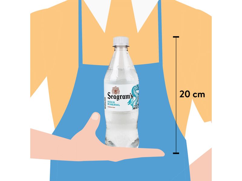 Gaseosa-Seagrams-Regular-600ml-4-27604