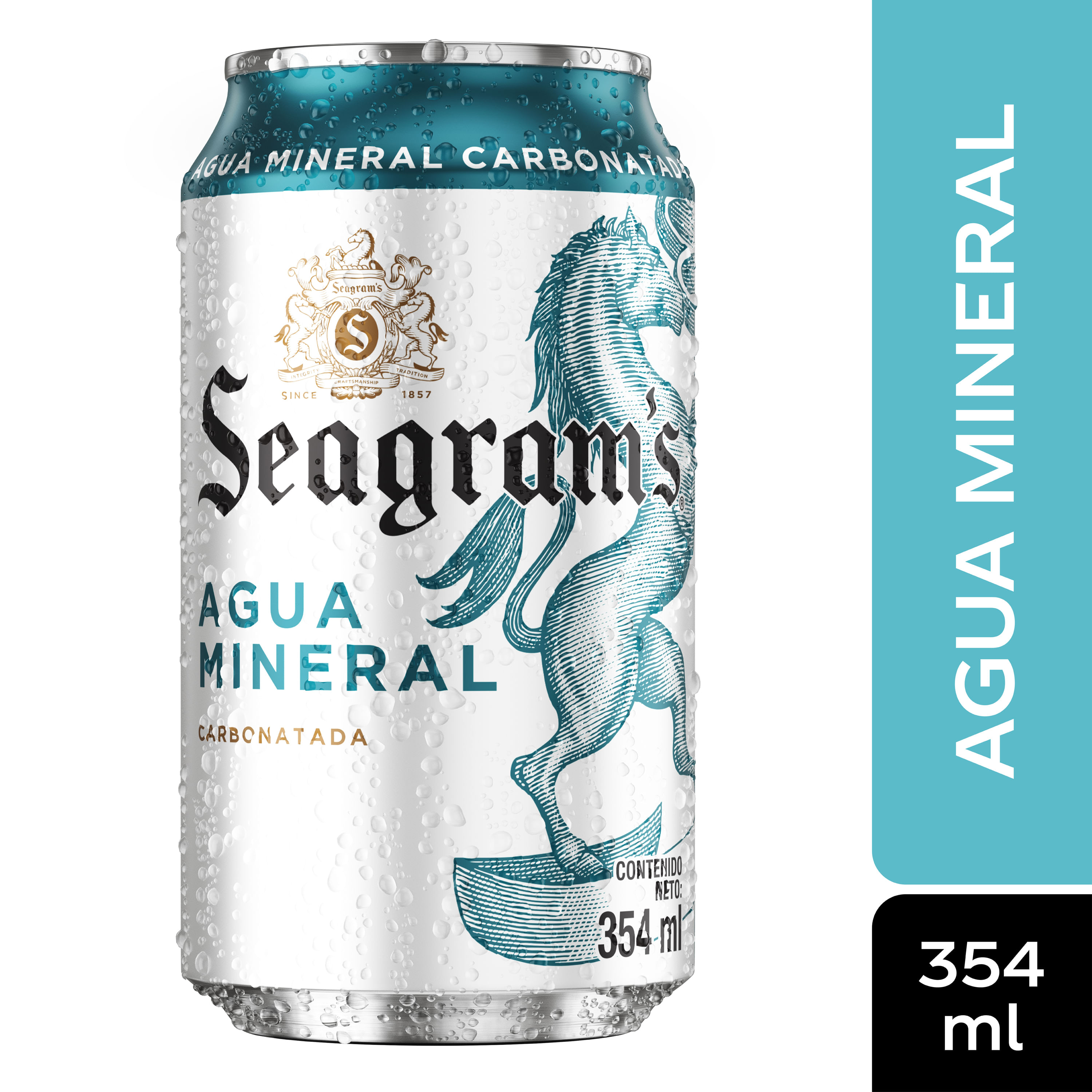 Gaseosa-Seagrams-Regular-Lata-354ml-1-33501