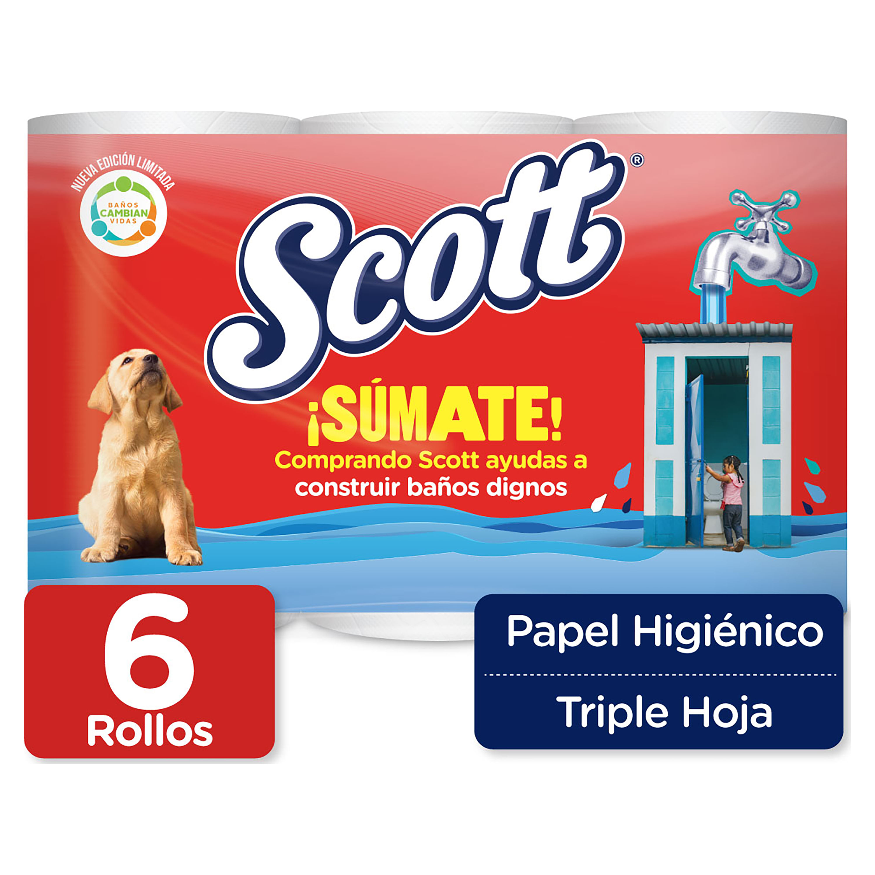 Scottex Original Papel Higiénico 96 rollos, 6 packs de 16 rollos :  : Salud y cuidado personal