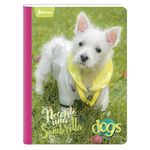 Cuaderno-Cosido-Norma-Perros-Surtido-100-hojas-2-46081