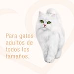 Alimento-H-medo-Gato-Purina-Fancy-Feast-Casserole-At-n-y-Salm-n-85g-4-55641