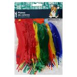 Plumas-De-Colores-Surtidos-60Und-1-36875