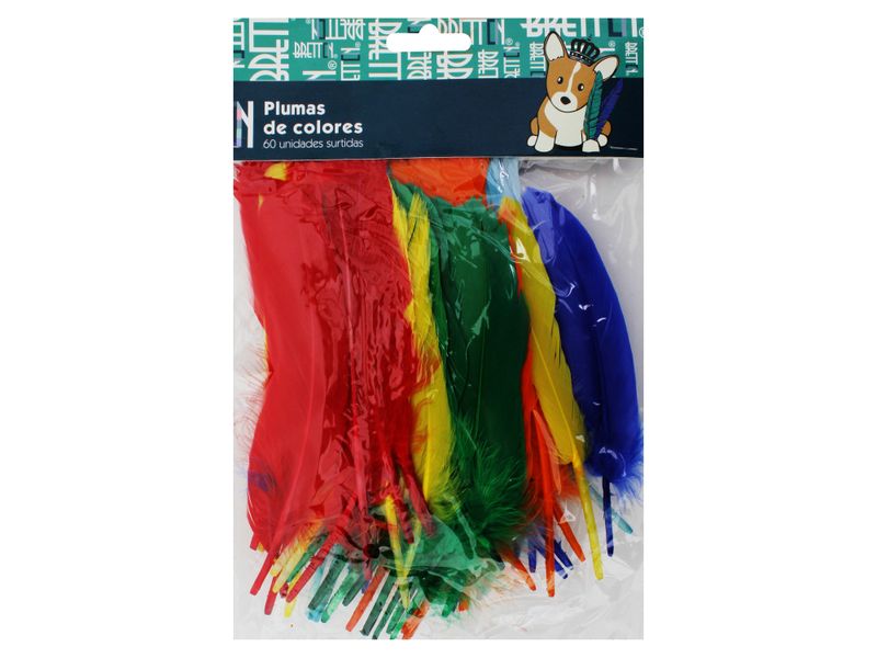 Plumas-De-Colores-Surtidos-60Und-1-36875