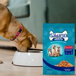 Alimento-Gsabueso-Para-Perro-2000Gr-7-29905