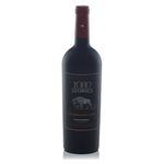 Vino-Tinto-1000-Stories-750ml-2-59998