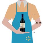 Vino-Tinto-1000-Stories-750ml-3-59998