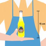 Jarritos-Pi-a-370ml-4-45622