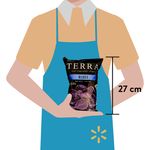Boquitas-Terra-Chips-Blues-142gr-3-13776