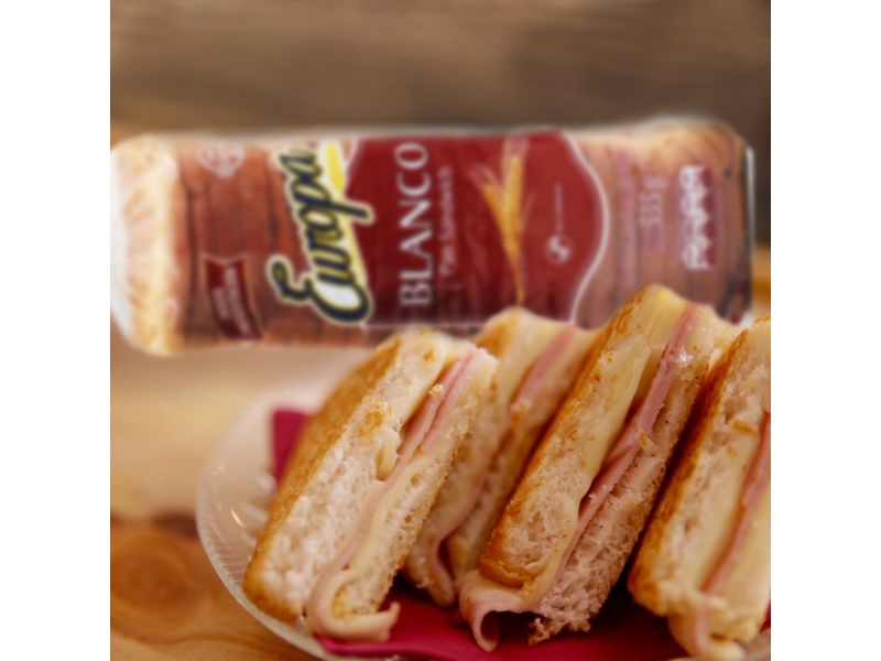 Pan-Europa-Sandwich-Mediano-535gr-5-27975