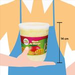 Helado-Sombrela-De-Mango-1000ml-3-28529