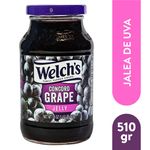 Jalea-Welchs-Uva-En-Frasco-510gr-1-5734