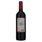 Vino-Gato-Negro-Cabernet-Sauvignon-San-Pedro-750ml-2-40609