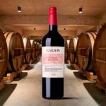 Vino-Garzon-Estate-Tannat-750ml-4-51489