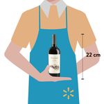 Vino-Zuccardi-Serie-A-Malbec-750ml-5-40402
