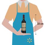 Vino-Norton-Doc-Malbec-750ml-3-52297