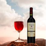 Vino-Norton-Doc-Malbec-750ml-4-52297