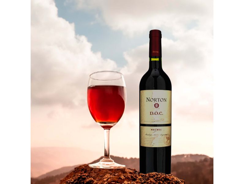 Vino-Norton-Doc-Malbec-750ml-4-52297