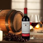 Vino-Norton-Tinto-Malbec-750ml-4-45432