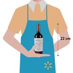 Vino-Do-a-Paula-Tinto-Malbec-750ml-3-40480