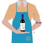 Vino-Tinto-Los-Cardos-Do-a-Paula-Malbec-750ml-3-40481