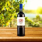 Vino-Santa-Rita-Tinto-120-Merlot-750ml-4-40693