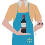 Vino-Carmen-Tinto-Cabernet-Sauvignon-750ml-3-40698