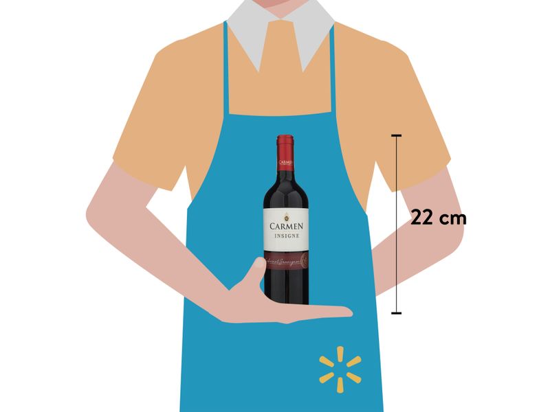 Vino-Carmen-Tinto-Cabernet-Sauvignon-750ml-3-40698
