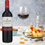 Vino-Carmen-Tinto-Cabernet-Sauvignon-750ml-4-40698