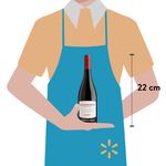 Vino-Zonin-Tinto-Lambrusco-Emilia-750Ml-3-41338
