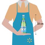 Agua-Mineral-San-Pellegrino-750ml-3-41341