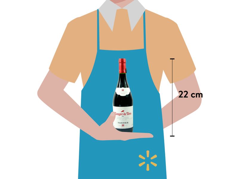 Vino-Torres-Sangre-De-Toro-Tinto-750ml-3-48150