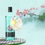 Gin-Puerto-Indias-Classic-Destilad-750Ml-4-41956