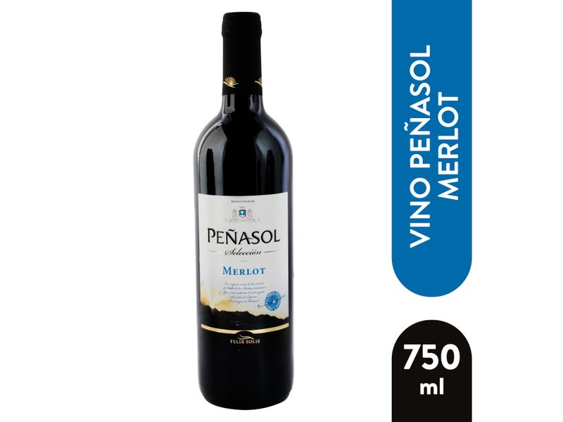 Vino-Tinto-Pe-asol-Merlot-750ml-1-41686