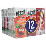 Nectar-Kerns-Junior-12Pack-200Ml-5-8314