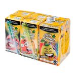 6-Pack-Nectar-Del-Frutal-Tetra-1200ml-2-26731