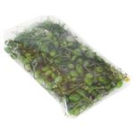 Chiltepe-De-3oz-2-31930