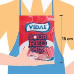 Gomita-Vidal-Surtidas-Picante-100gr-3-66316